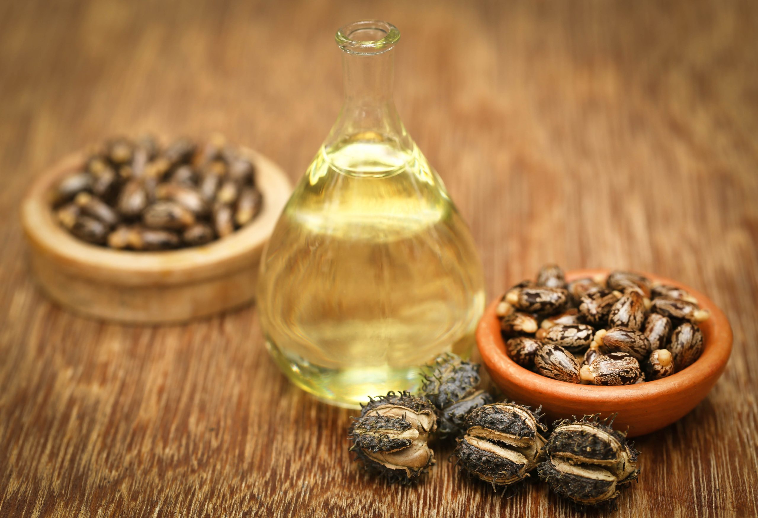 Caster Oil
