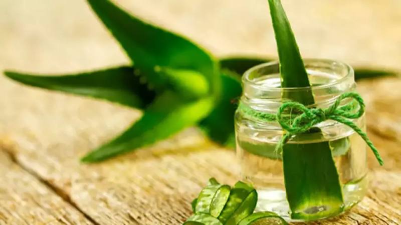 aloe vera oil
